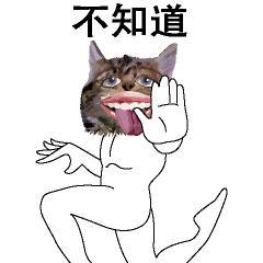 Weird face cat Chinese version