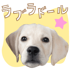 ラブラドールレトリバー トコトコ Line スタンプ Line Store ラブラドールレトリバー トコトコ Line スタンプ Line Store