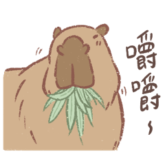 Capybara together(Chinese)