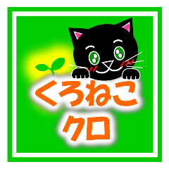 Kuro (black cat) "The cats 3"