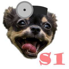 Doctor Puppy: set1