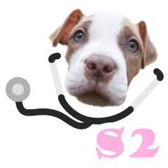 Doctor Puppy: set2