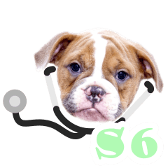 Doctor Puppy: set6