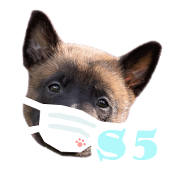 Doctor Puppy: set5