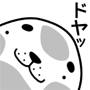 earless seals[azarashi]