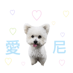 大白與牠的朋朋們