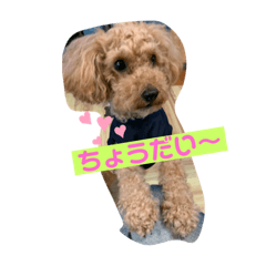 junko_20200601081118