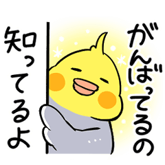 オカメインコの優しく励ますスタンプ Line スタンプ Line Store オカメインコの優しく励ますスタンプ Line スタンプ Line Store