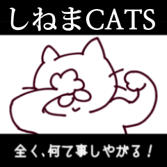 CINEMA CATS(revised version)
