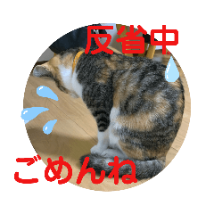 haruna_20200601132359