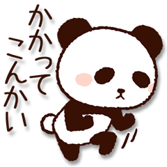 Cute panda2