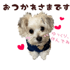 marupoo chan – LINE stickers | LINE STORE