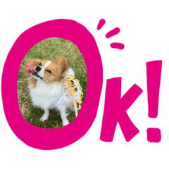 yukari_20200531224323