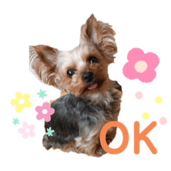 cocoa_20200601150012