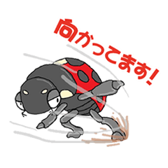 Active Ladybug