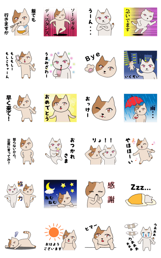 目が可愛い猫２匹 Lineクリエイターズスタンプ Stamplist