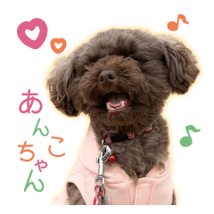 Every day Dog.Anko-chan Sticker.