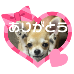 chie_20200531222743