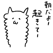alpacakun