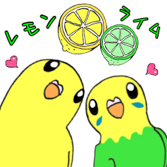 インコのレモン♡ライム２