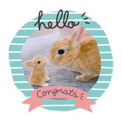 kitty_20200531215520