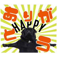 BlackPugGENSticker