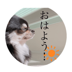 ayumi_20200601212731