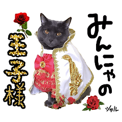 Sharu Chartreux cat stickers