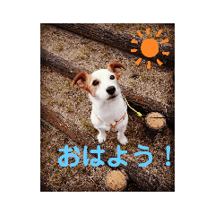 TOMOMI_20200531211831