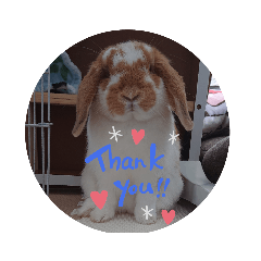 arisa_20200601220616