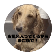 Rina_20200601225202