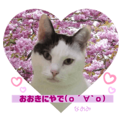 nanana_20200602081325