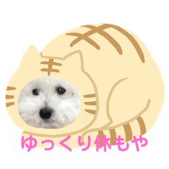 Yurina_20200601185741