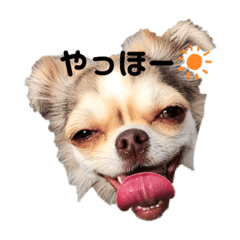 Mizuki_20200601191740