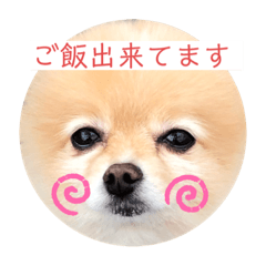 hana_20200601183510
