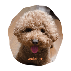 Mimi_20200601203742