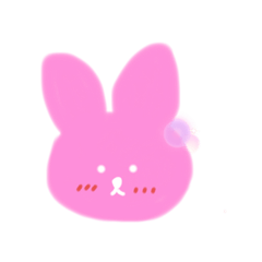 alldayRABBIT