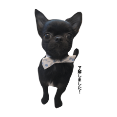 yuina_20200601194835