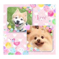 Coco and Mogu Stamps 2