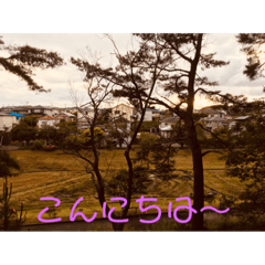 HS_20200601231100