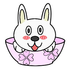 usagi-don(rabbit with bowls)