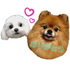 Asuka_20200601230352