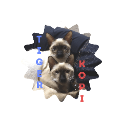 Tiger and Kopi Sticker 2