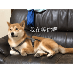 不要再退回了^_^