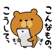 Assertive Bear 2