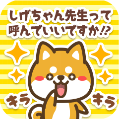 Sticker to Shigechan from Petit Shiba