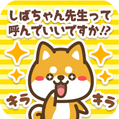 Sticker to Shibachan from Petit Shiba