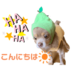 chibi_20200602090035