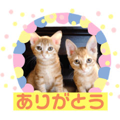 小春＆虎之助