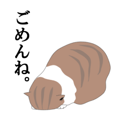 Nap Cat